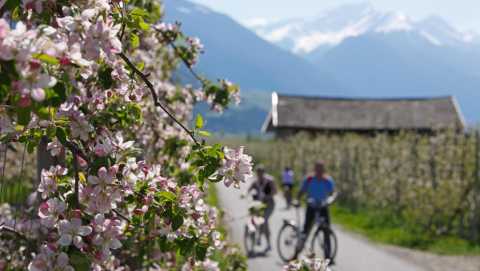 In bici attraverso i frutteti in fiore a Naturno